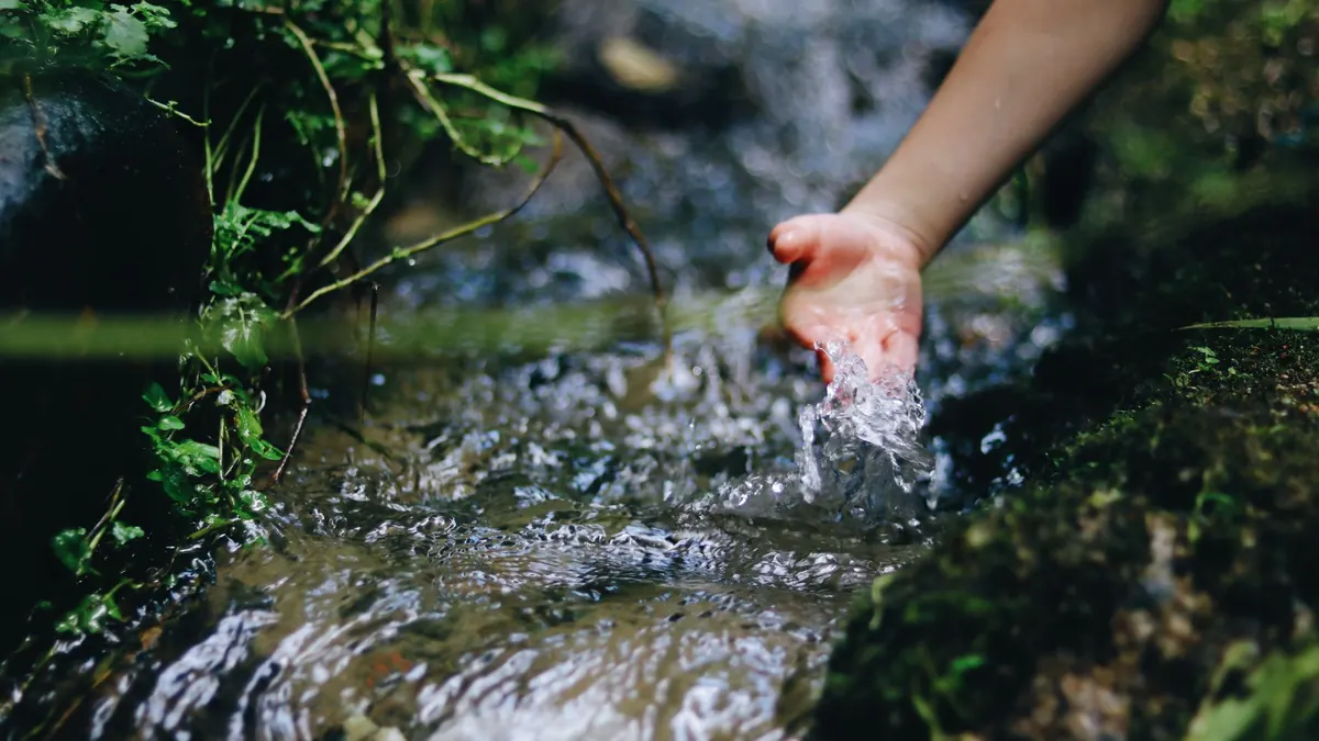 Chalk Brooks vs Acid Brooks: How Geology Shapes UK Stream Life