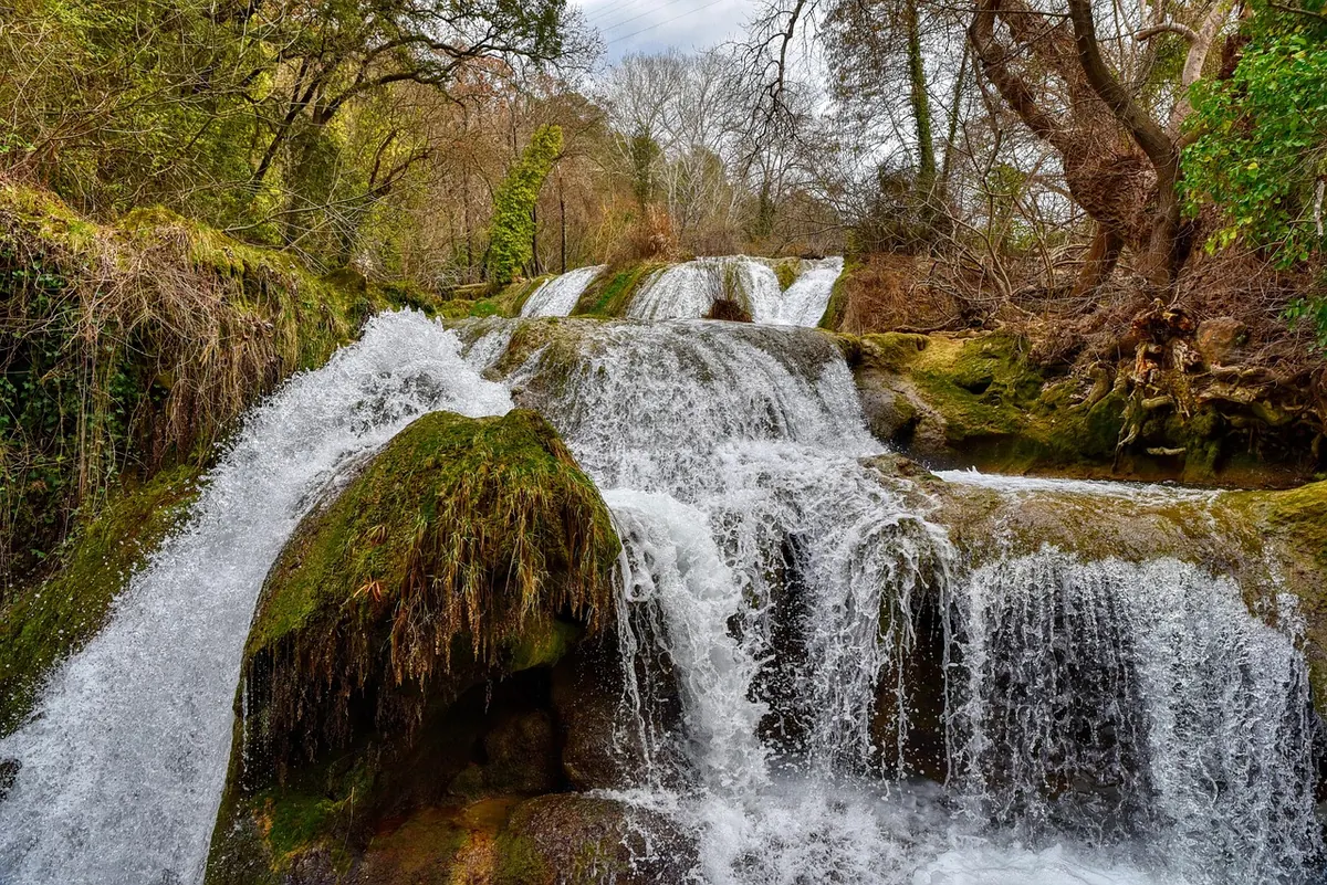 Common Mistakes When Restoring a Brook (and How to Avoid Them)