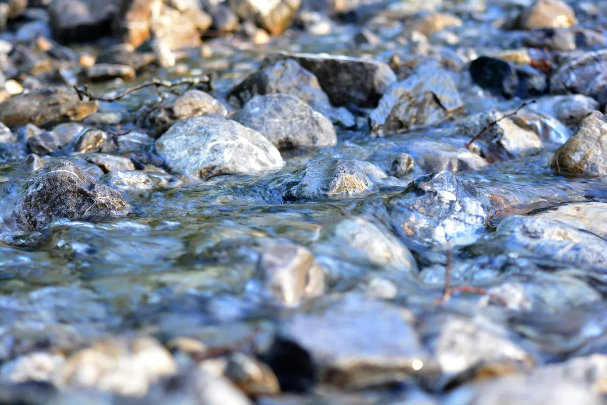 How to Identify a Healthy Brook in 10 Minutes: A Field Guide for Beginners