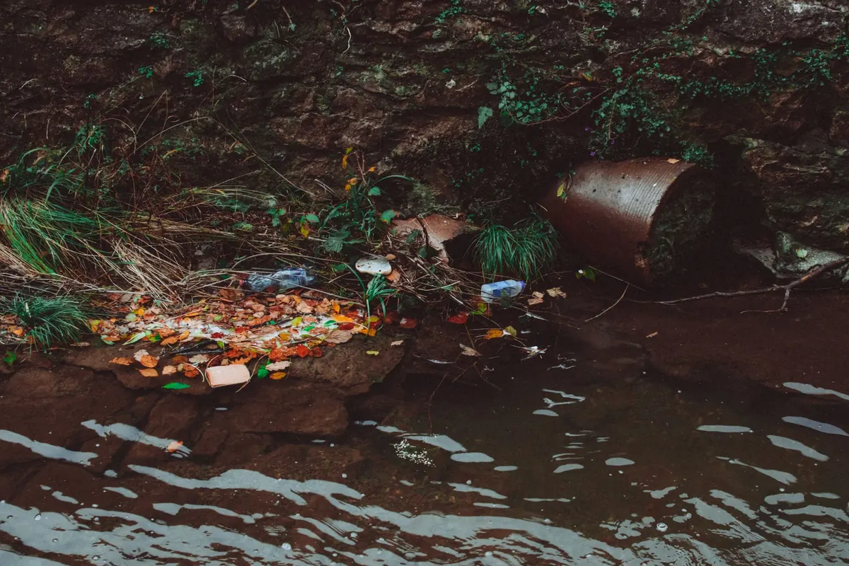 What to Do If You Find a Pollution Incident in a Brook